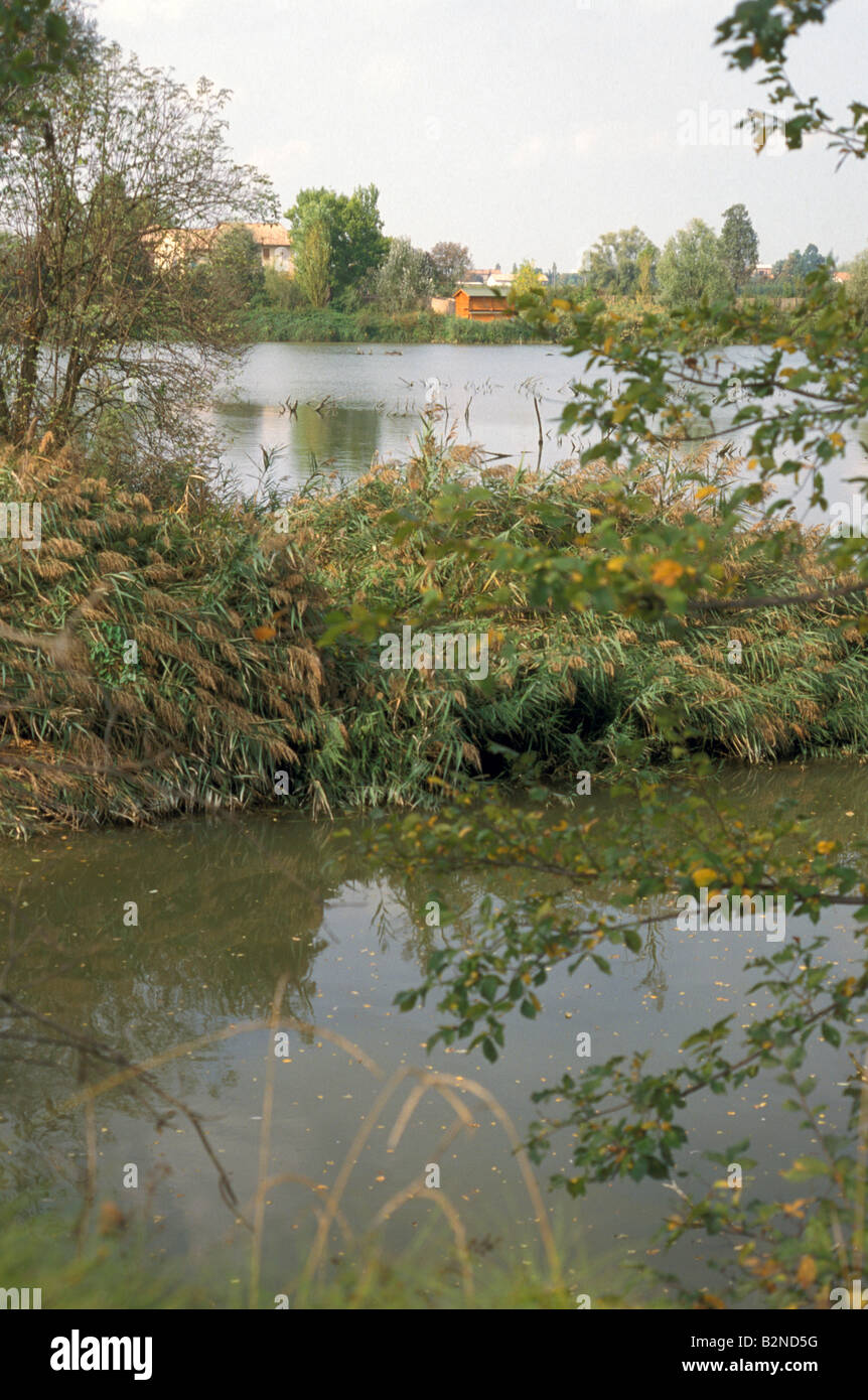 natural area, marmirolo, italy Stock Photo Alamy