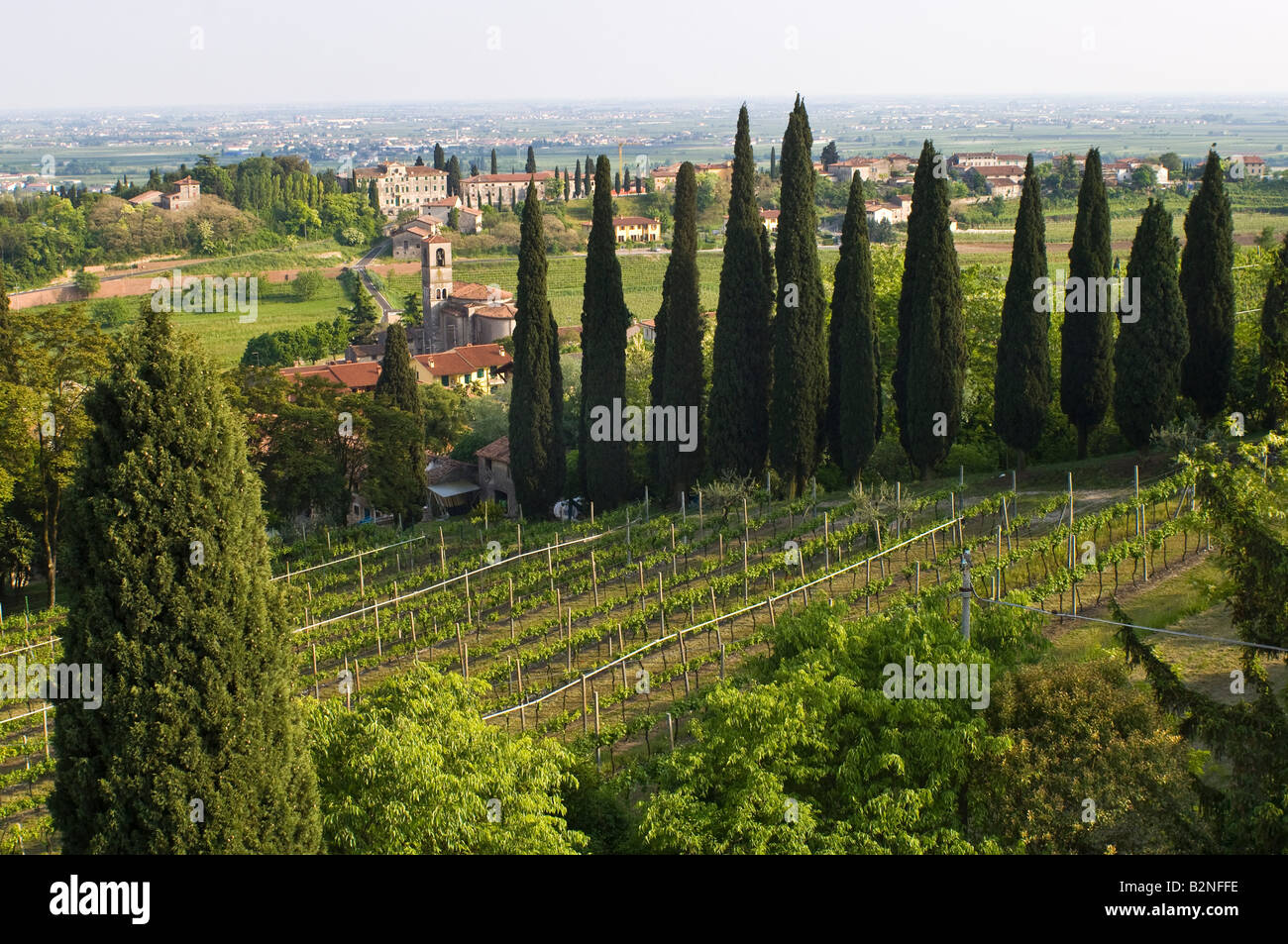 village and vineyards, custoza, italy Stock Photo