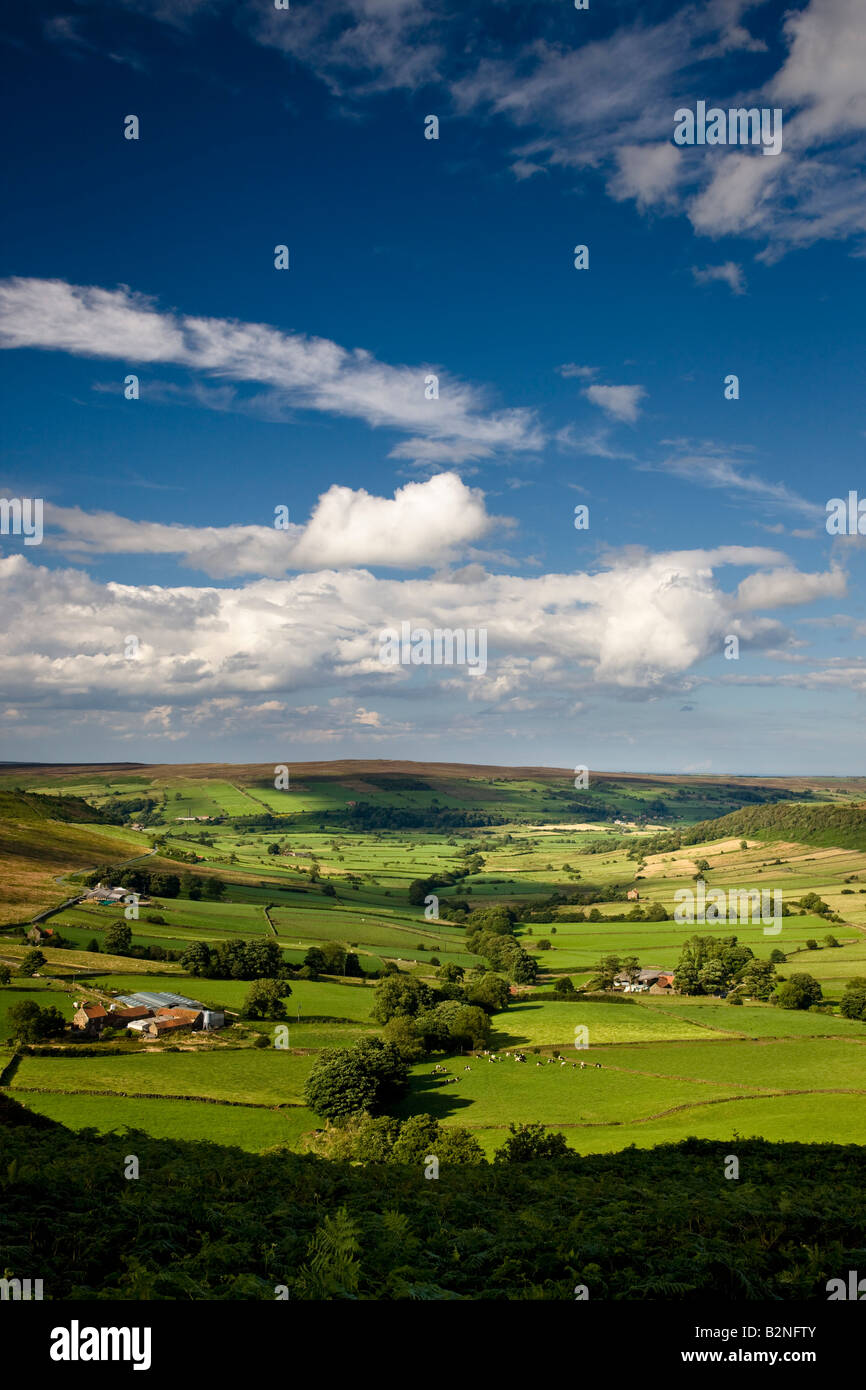 Little Fryupdale North York Moors National Park Yorkshire Stock Photo