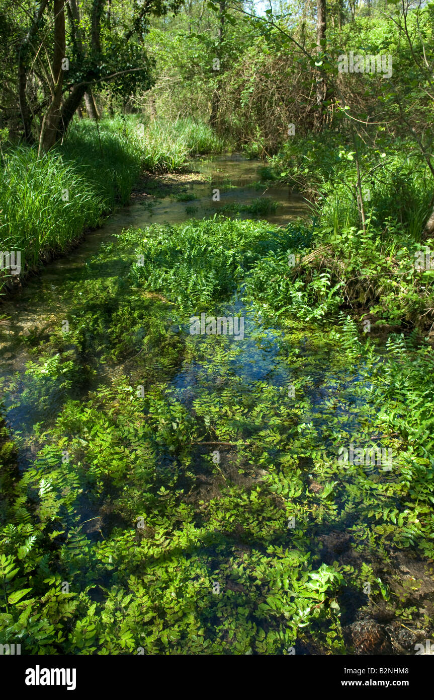 Acqua molle hi-res stock photography and images - Alamy