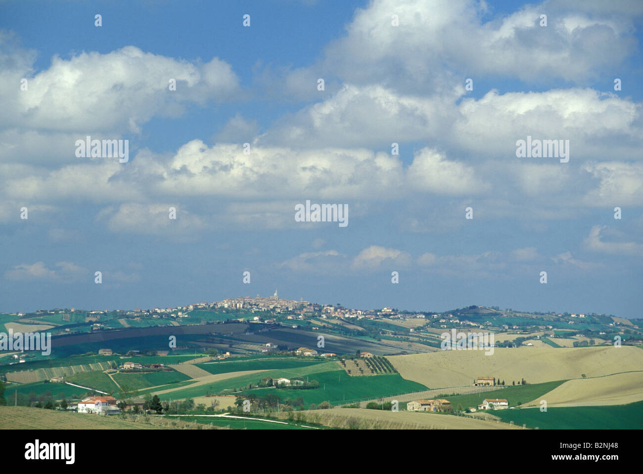country, arcevia, Italy Stock Photo