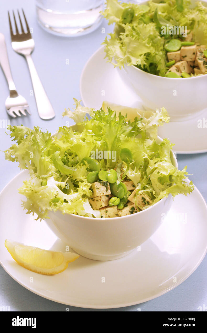 Riccia salad with broad bean and pickled tofu, Italy Stock Photo