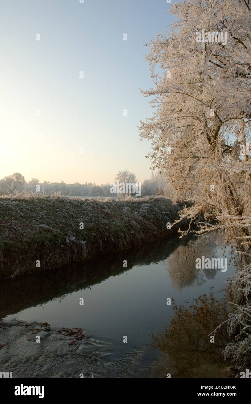 Winter frost, Toulouse, France Stock Photo