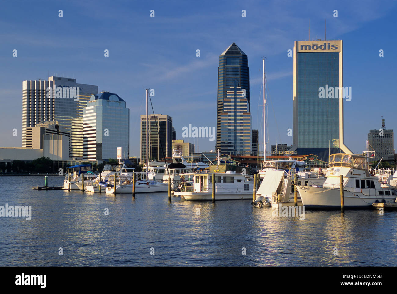 Downtown over St Johns River seen from Southbank Riverwalk Jacksonville Florida USA Stock Photo