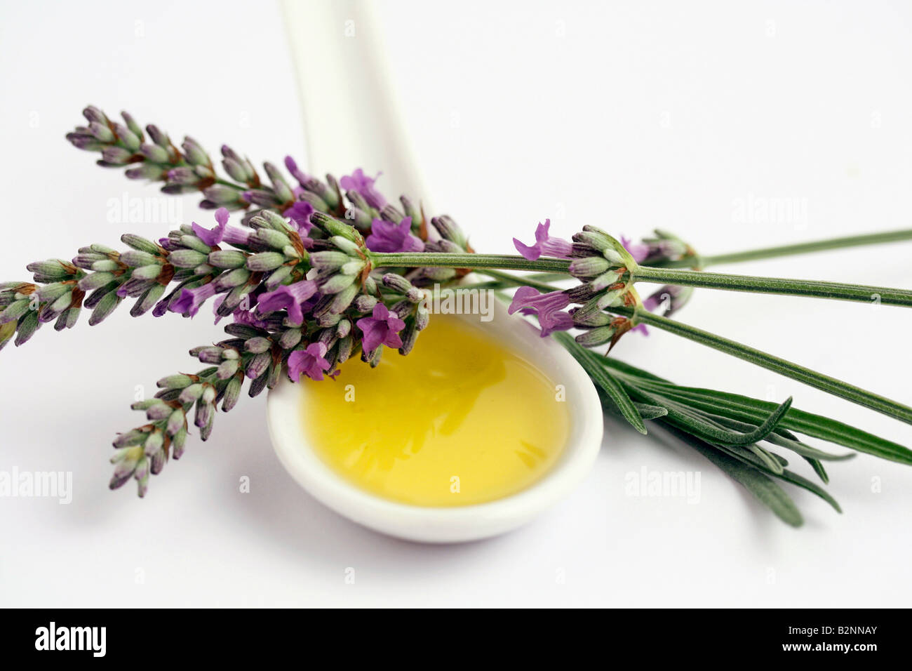 Lavender and essential oil Stock Photo