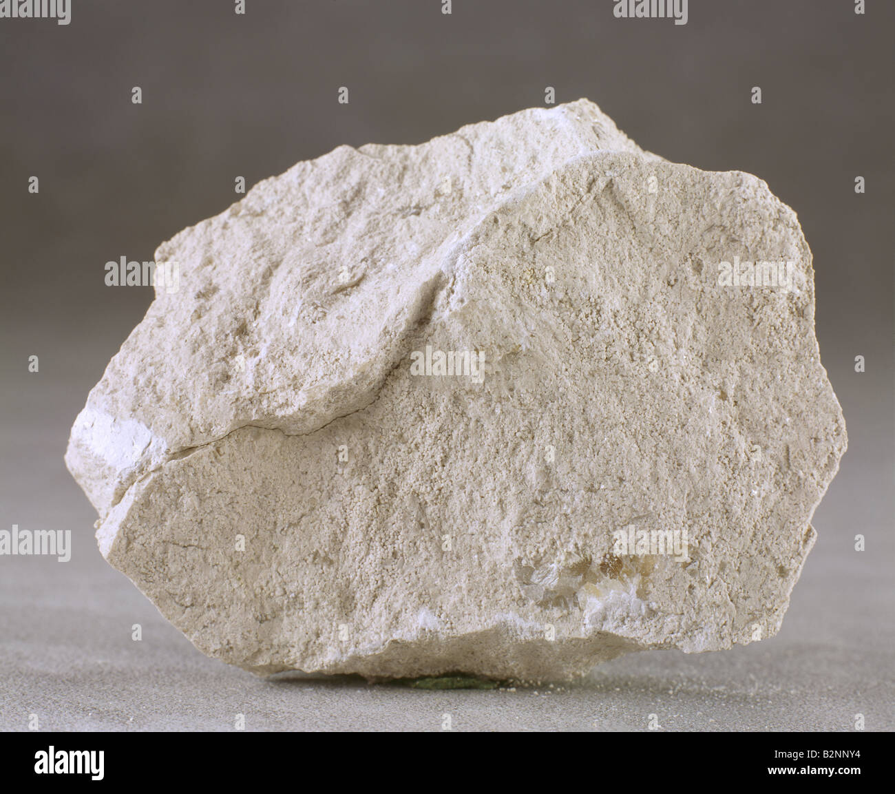 CLOSEUP OF OOLITIC, INDIANA OR MISSIPPIAN LIMESTONE; FOUND IN BEDFORD