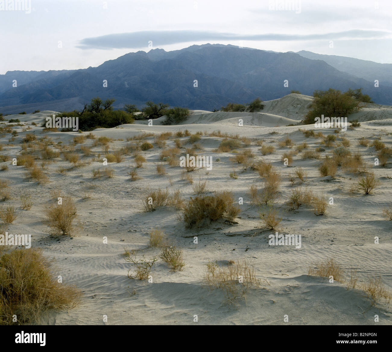 Death valley national monument hi-res stock photography and images - Alamy