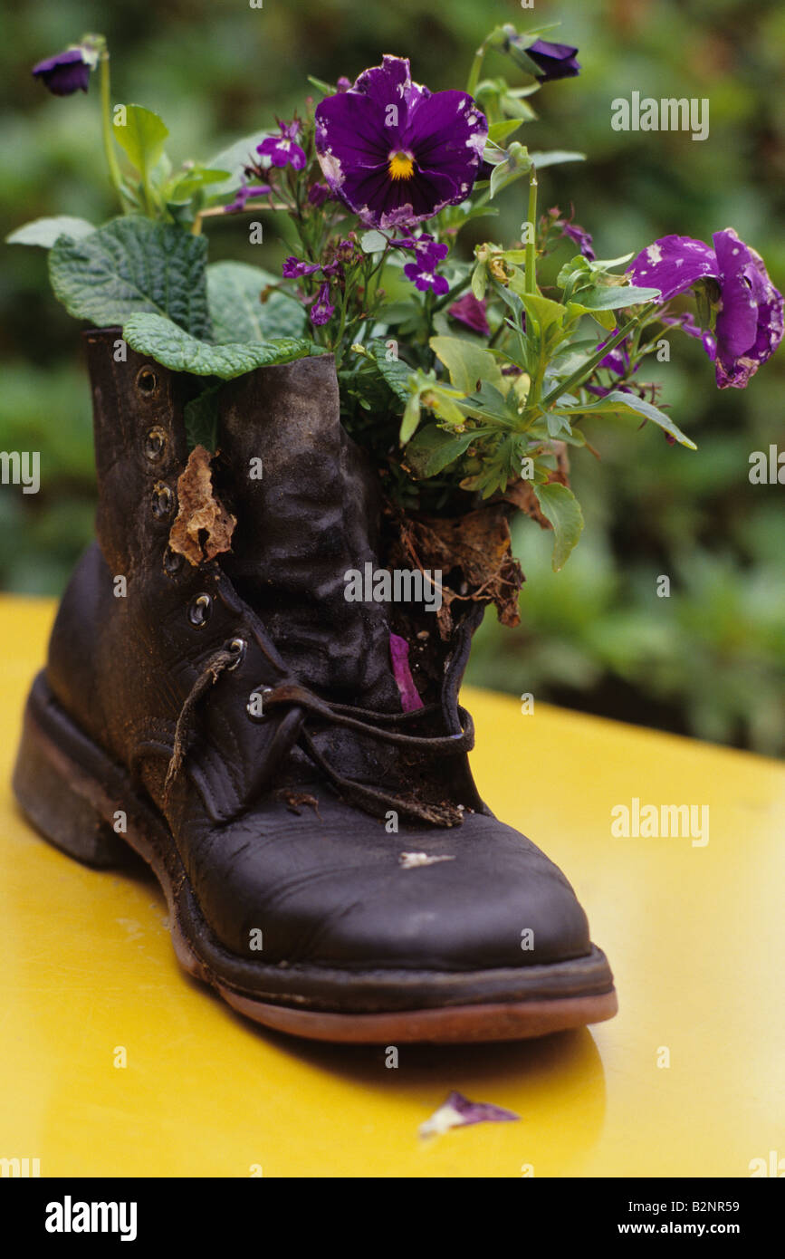 Flowers in old shoe at the Country Village with shops and cafes Bothell