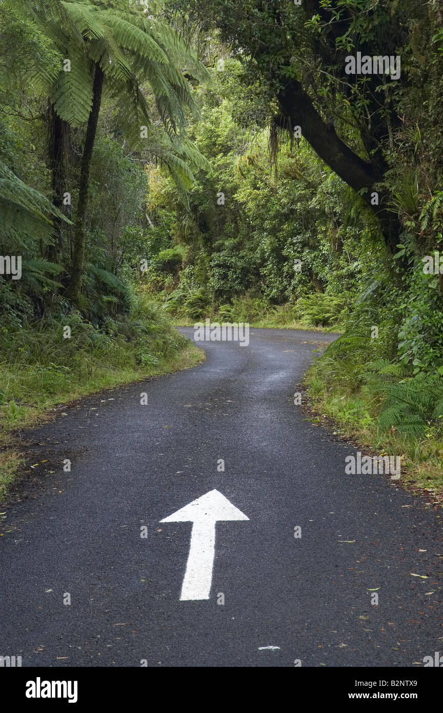 Narrow Road through Rainforest to Dawson Falls Mt Taranaki Egmont National Park Taranaki North Island New Zealand Stock Photo