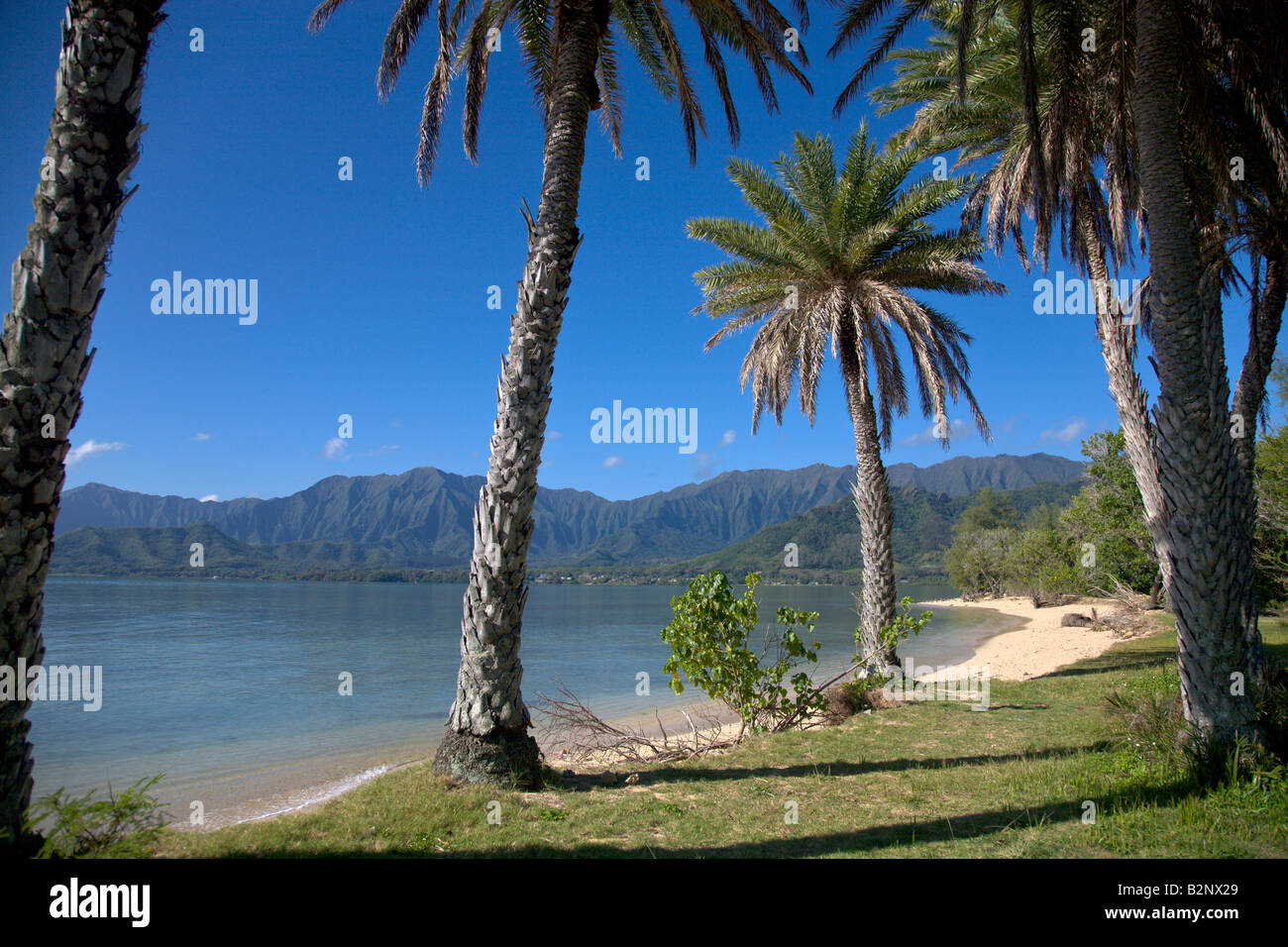 Kualoa Beach Park Kaneohe Bay Windward Oahu Hawaii Stock Photo Alamy