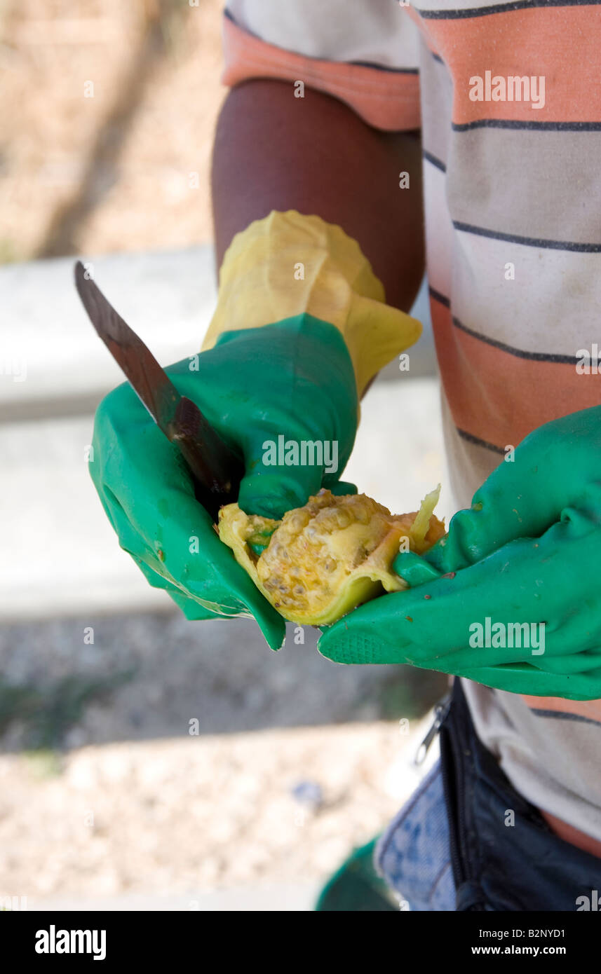 3055 hi-res stock photography and images - Alamy