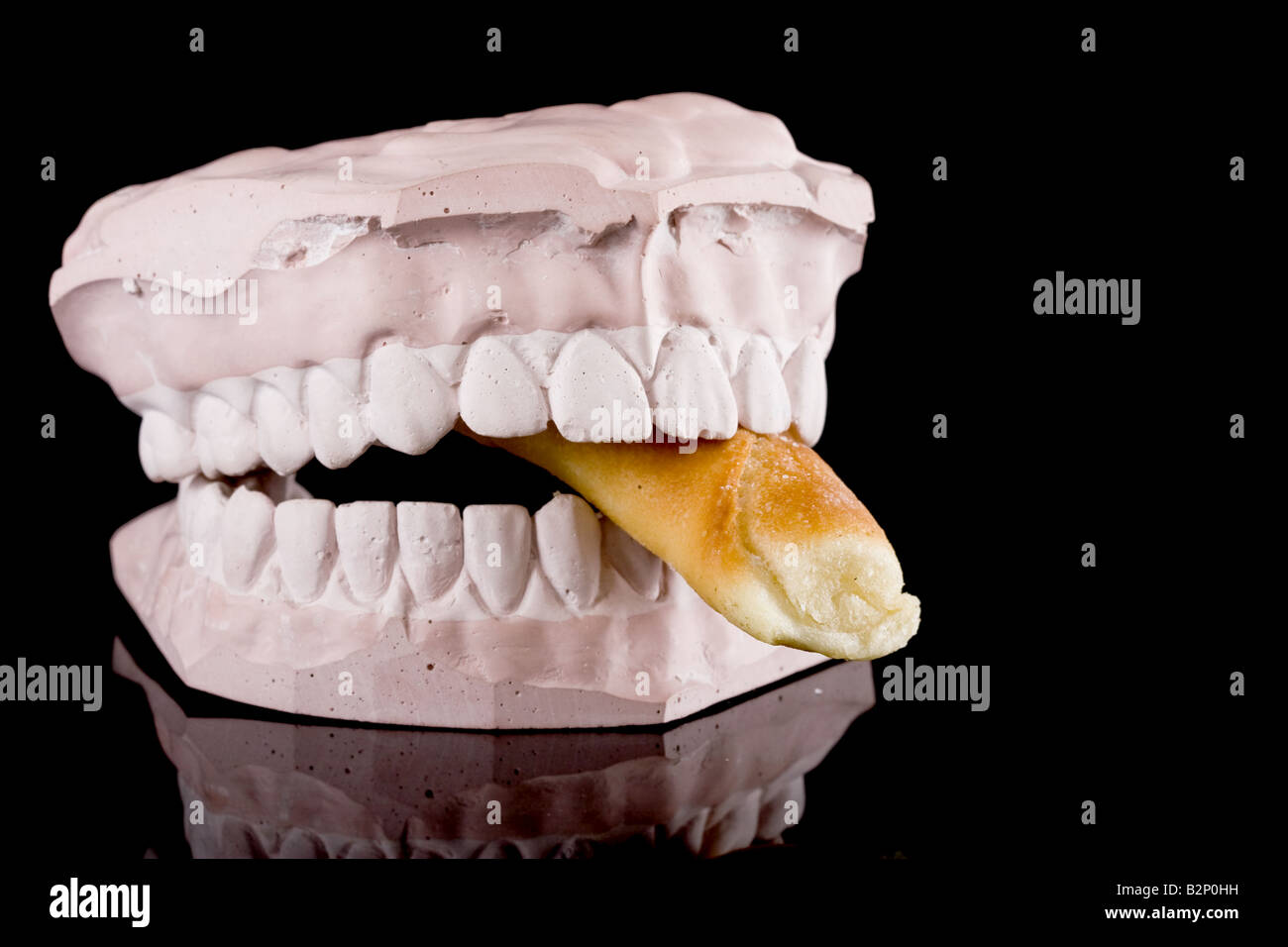 gypsum model of a human teeth with food Stock Photo