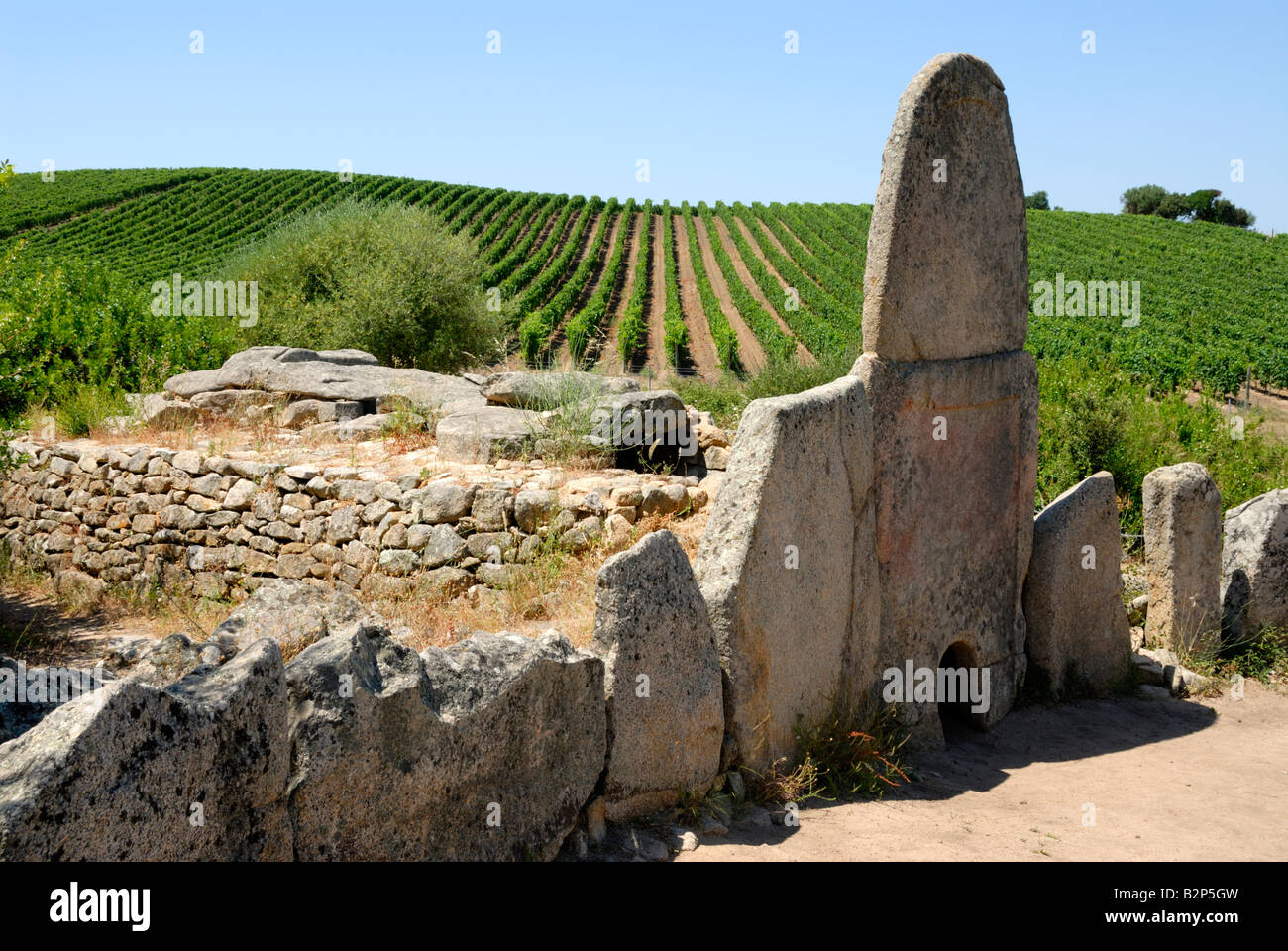 Historic remains of a Giant's Tomb, "Coddu Vecchiu", next to a vineyard ...