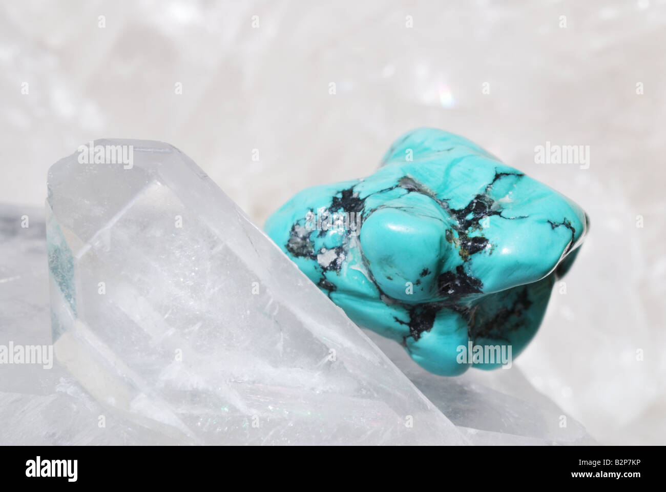 Turquoise gem energized on druze of quartz crystals Stock Photo