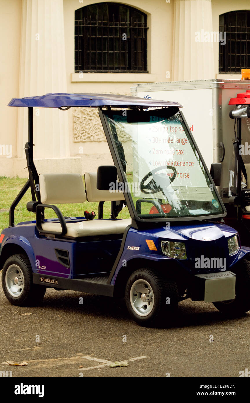 electric buggies for disabled