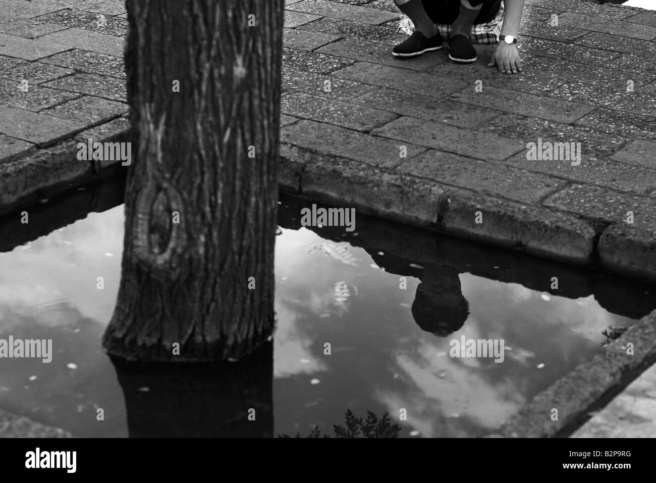 Reflection of a tired men sitting beside a tree in the Frobidden City, Beijing, China Stock Photo