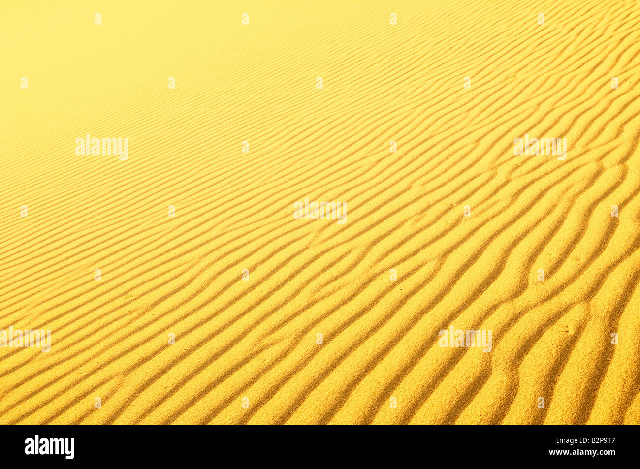 highly detailed texture of sand dunes Stock Photo - Alamy