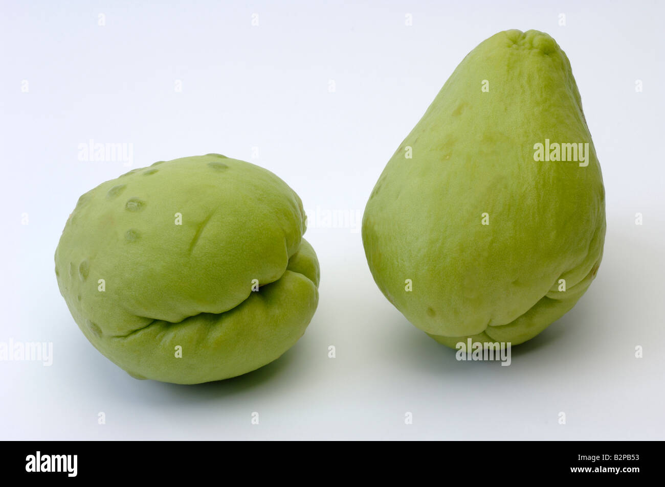 Chayote (Sechium edule), fruit, studio picture Stock Photo