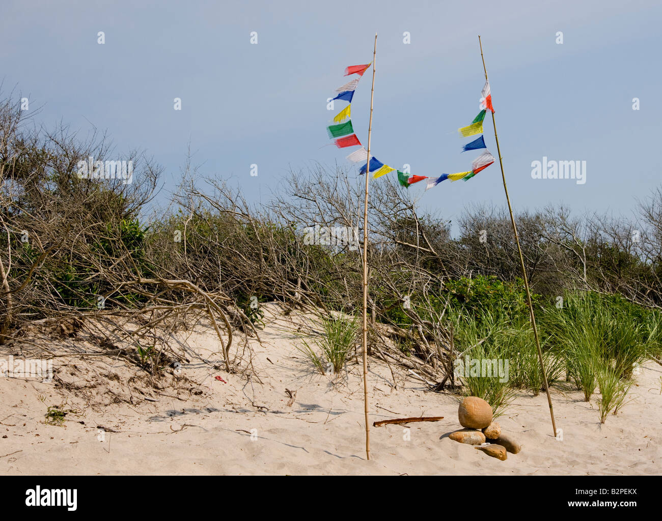Flags on the beach on a windy day Stock Photo Alamy