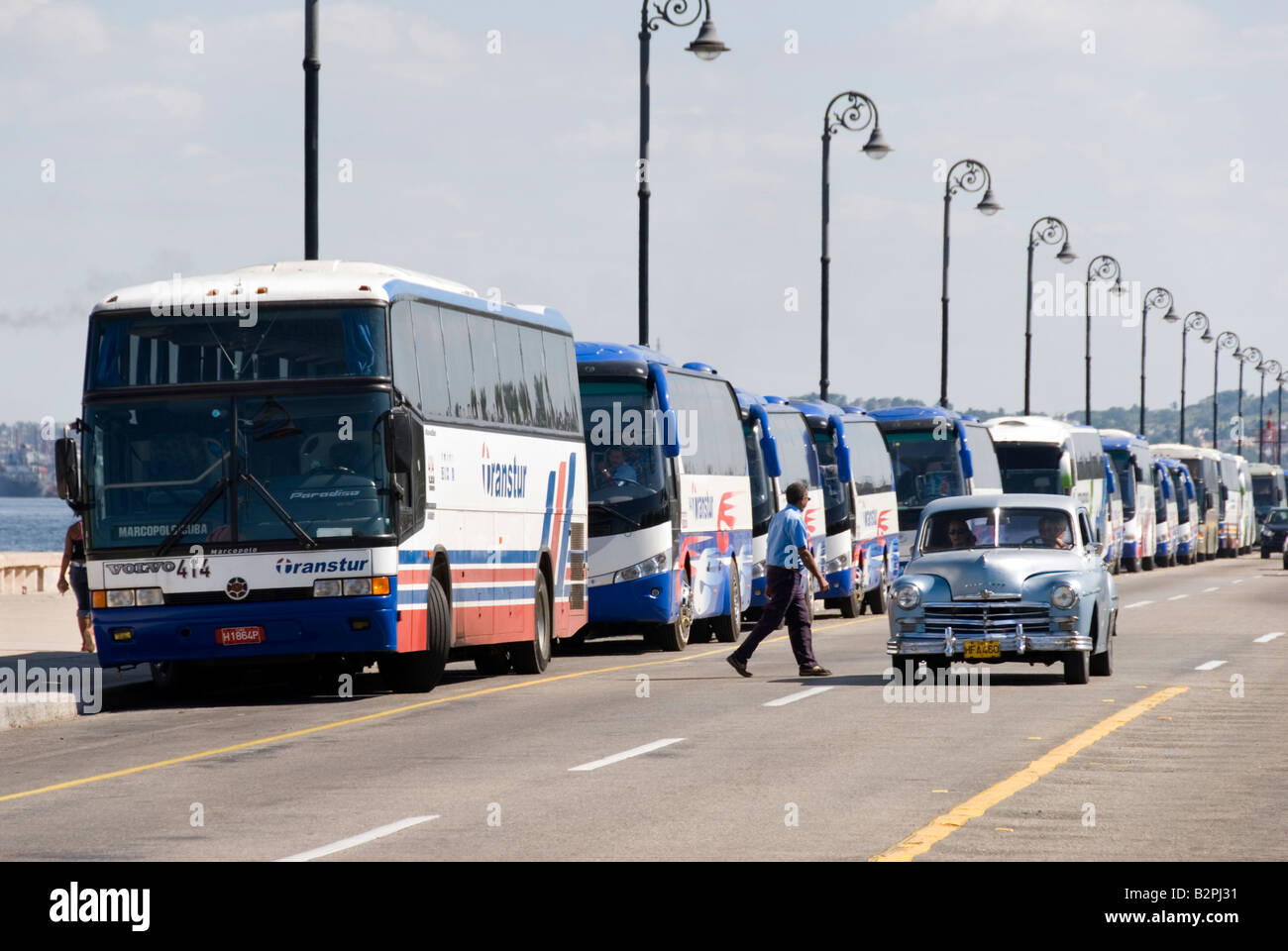 Row of state owned Transtur tourist buses parked on El Malecon in La Habana Vieja Cuba Stock Photo