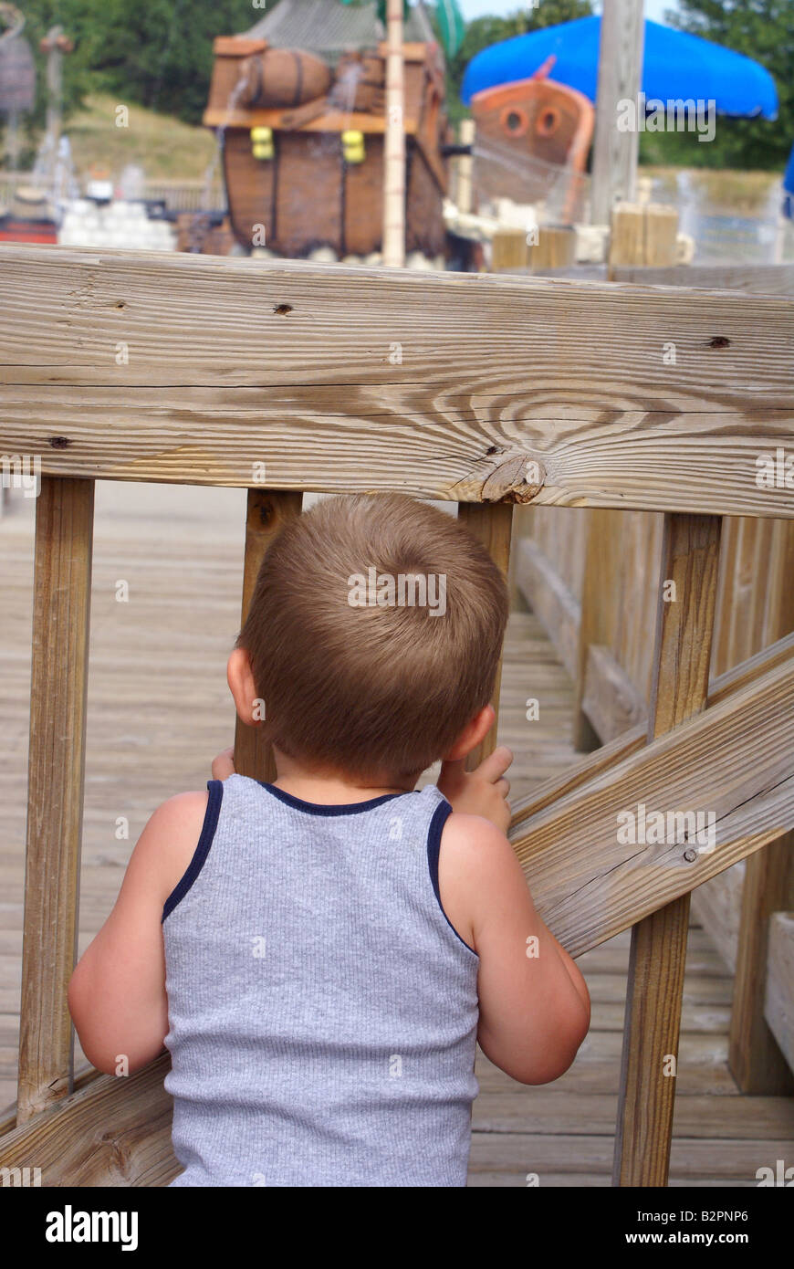 Looking Longingly Stock Photo