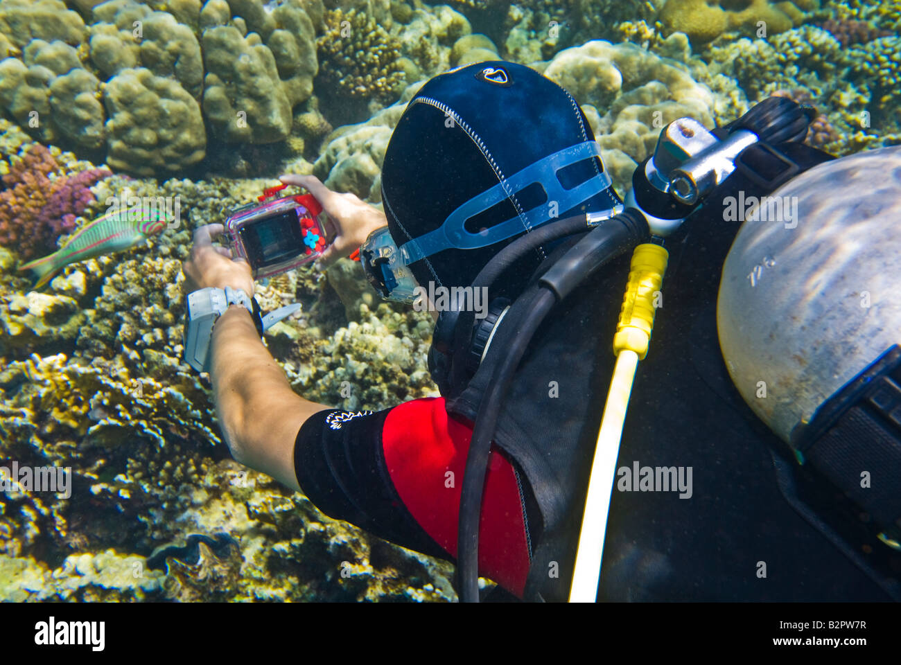 girl woman she DIVER underwater photographer taking pictures camera small compact tight diver dive pink lilac lila purple silver Stock Photo