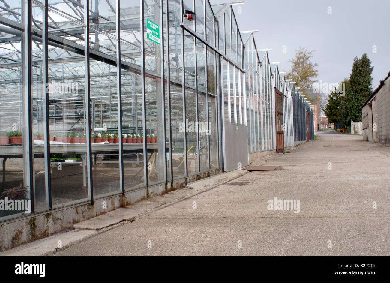 Commercial greenhouses hi-res stock photography and images - Alamy