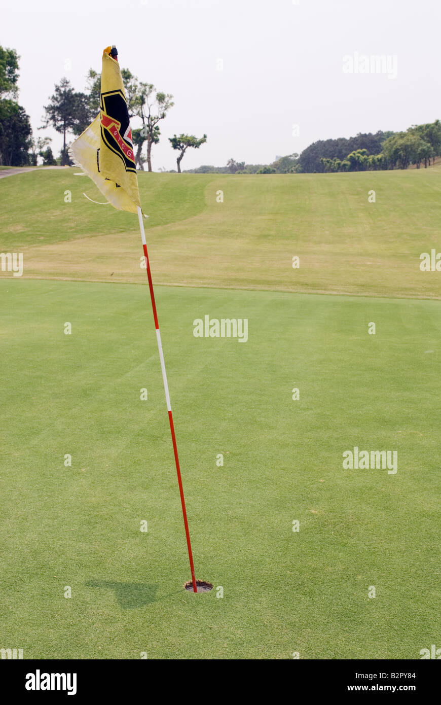 Flag in hole on golf course green Stock Photo Alamy