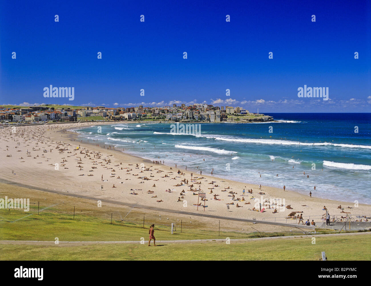 Pam Bondi visual data 8