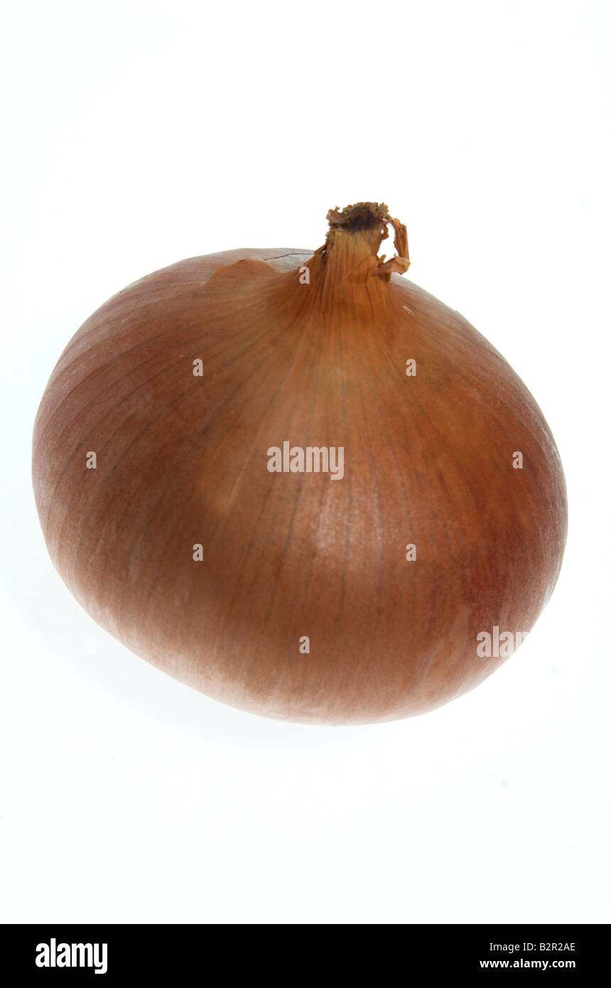 Spanish onion hi-res stock photography and images - Alamy
