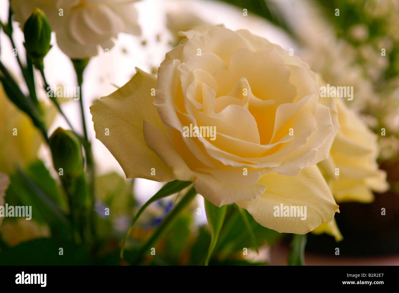 Yellow horizontal format hi-res stock photography and images - Alamy