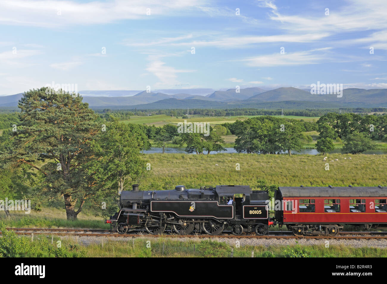 The Strathspey Railway Steam Train Approaching Broomhill Station