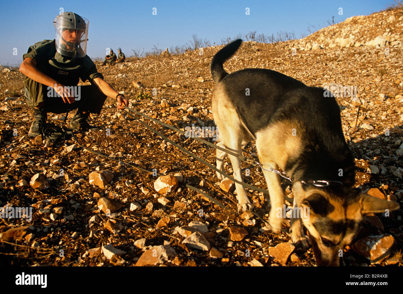 Landmine clearance in Lebanon. Stock Photo