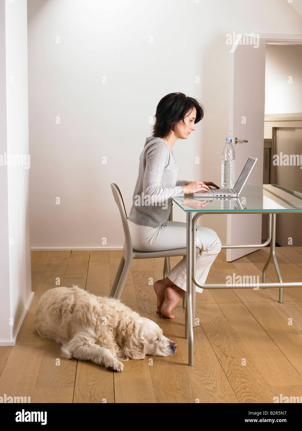 Woman at her desk, dog sleeping Stock Photo