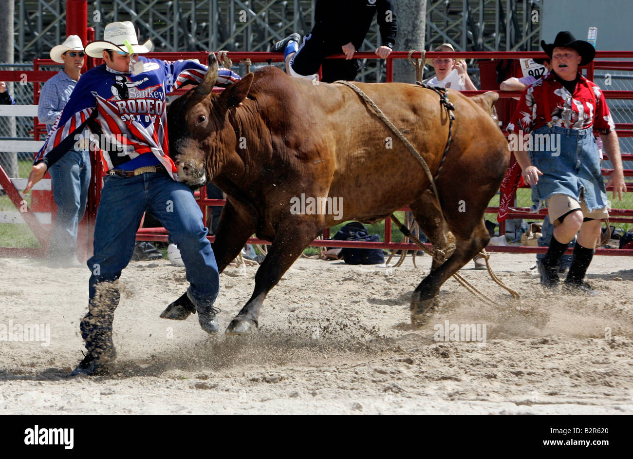 Bullfighter rodeo bull hi-res stock photography and images - Alamy