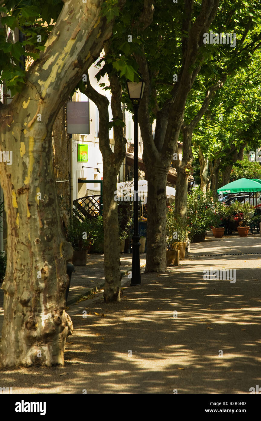 Plane trees france hi-res stock photography and images - Alamy