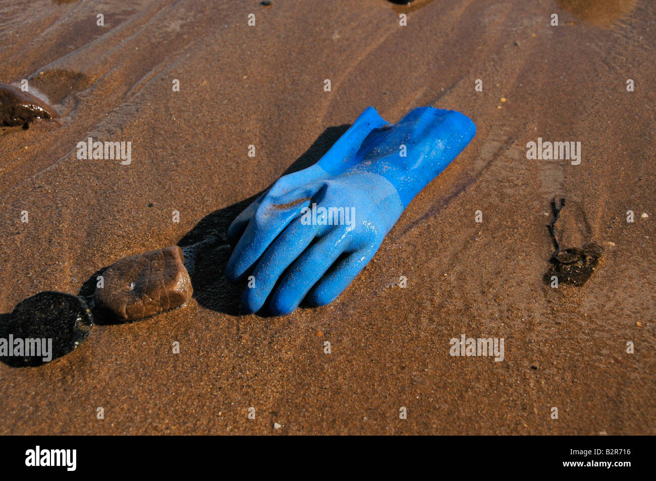 A blue rubber glove washed up onto  the beach. Stock Photo