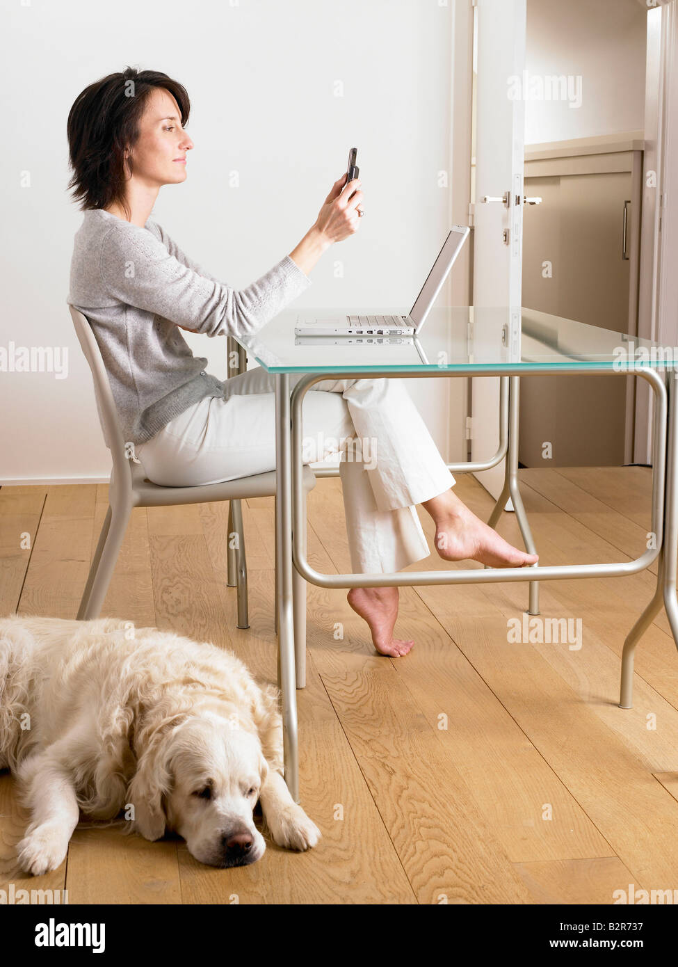 Woman at her desk, dog sleeping Stock Photo