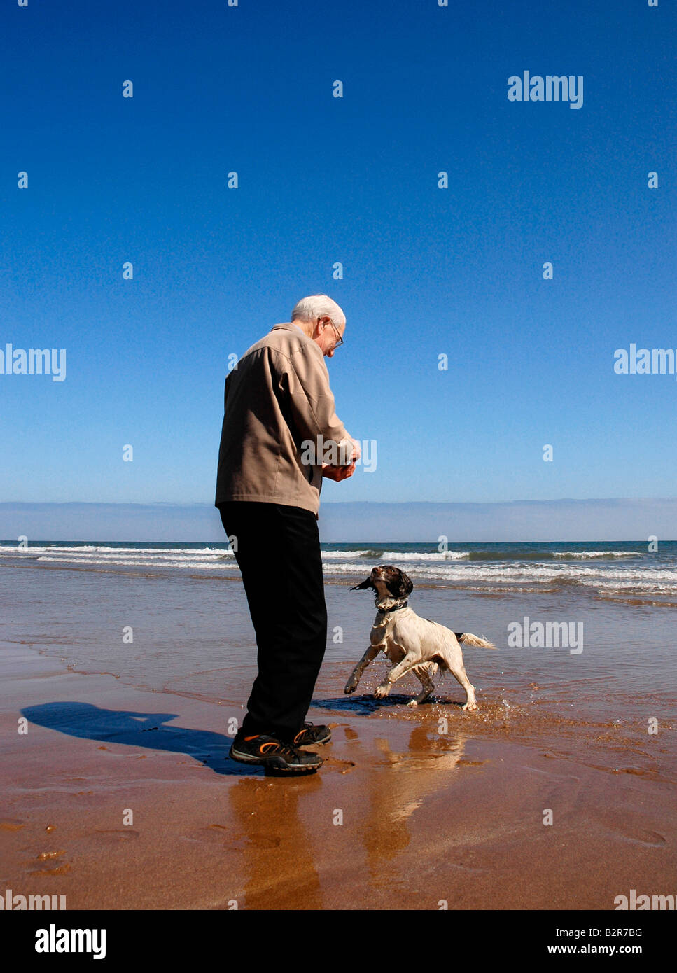A senior / old man prepares to throw a ball for the dog on a beach