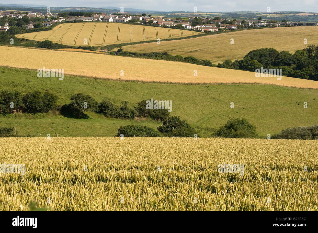 view over devon countryside with fields and farmland Stock Photo - Alamy