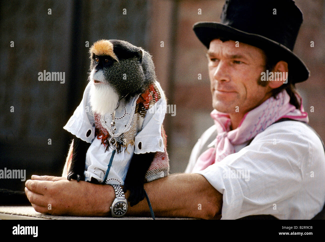 Monkey top hat hi-res stock photography and images - Alamy