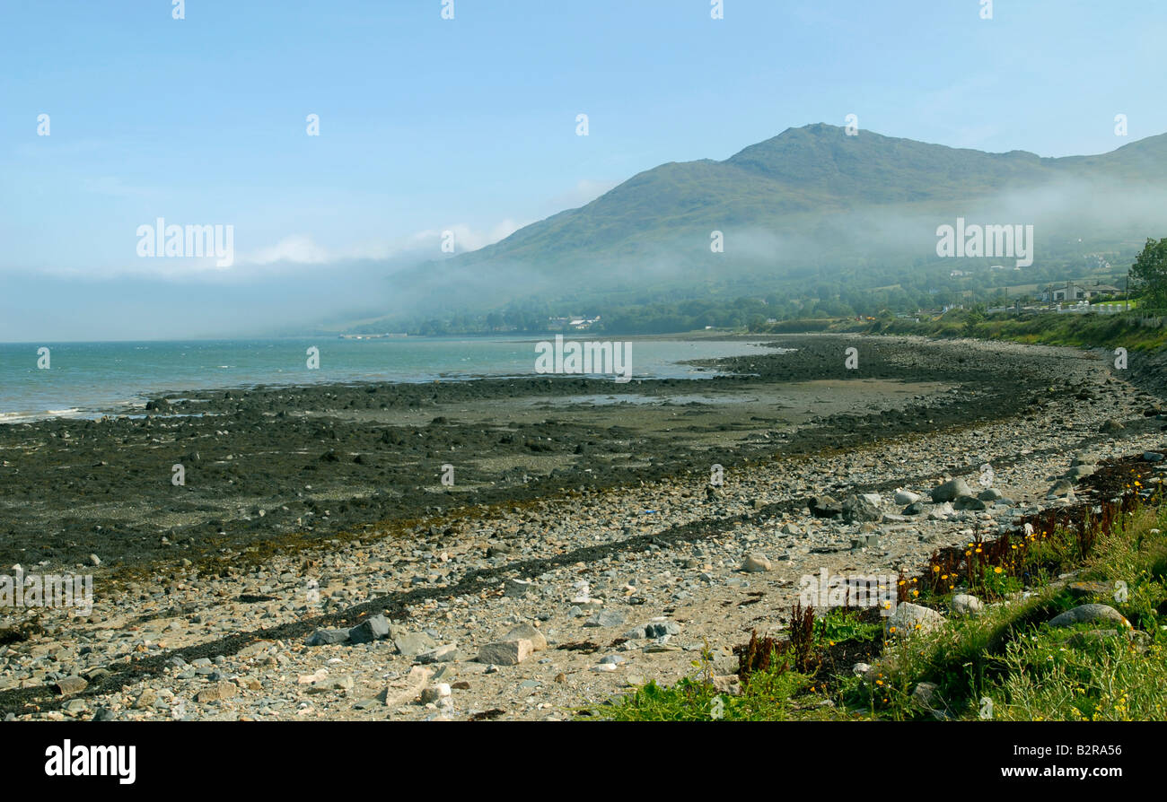 Carlingford Mountain with sea mist, seen from Omeath, Cooley Peninsula, Ireland Stock Photo