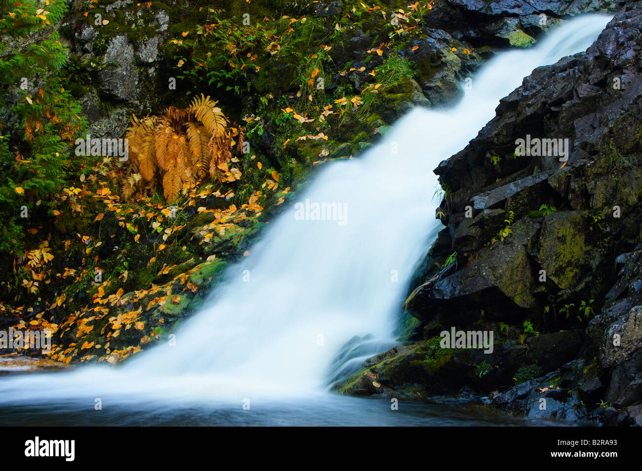 Powder horn hires stock photography and images Alamy