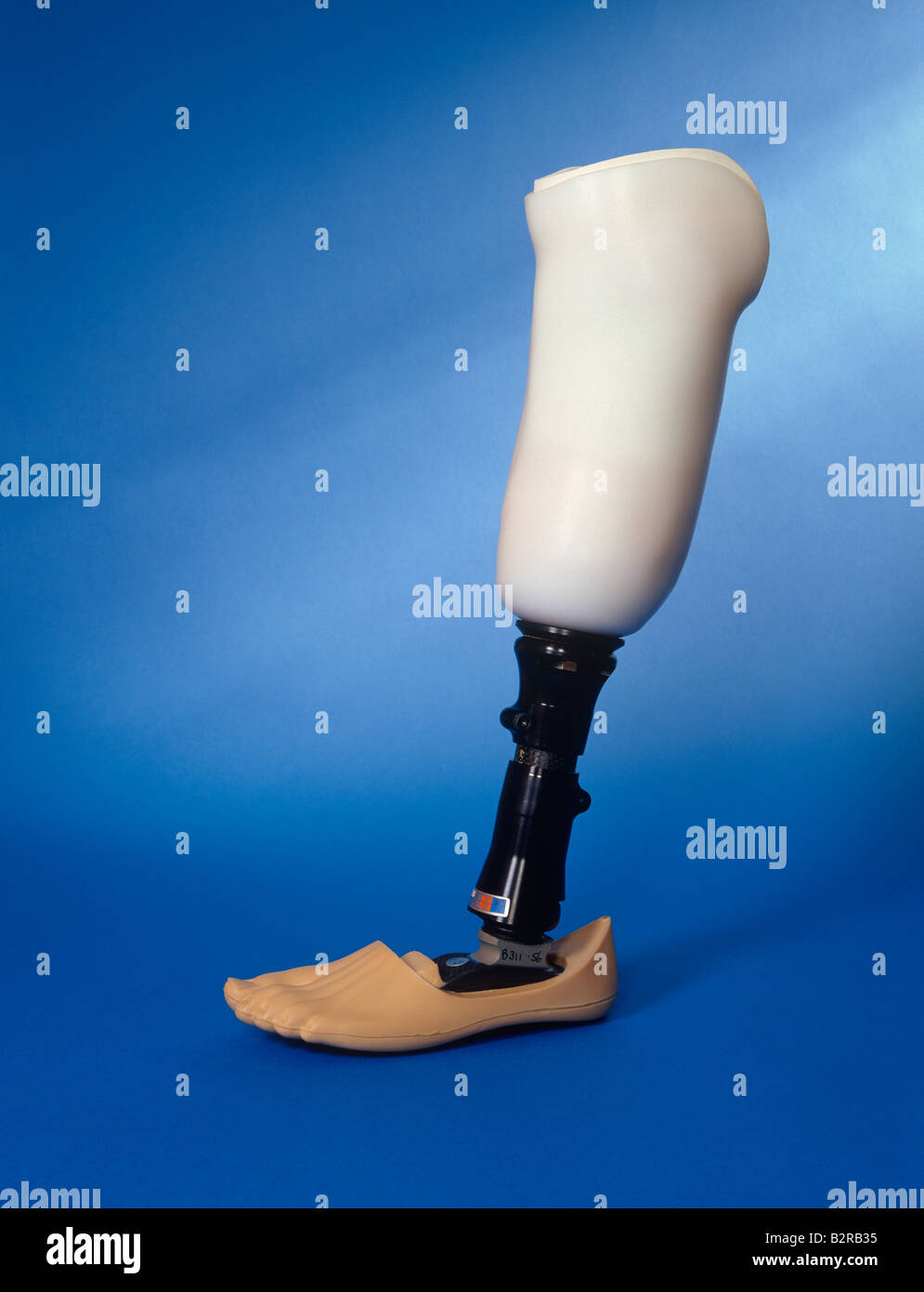Artificial Leg Stock Photos & Artificial Leg Stock Images Alamy