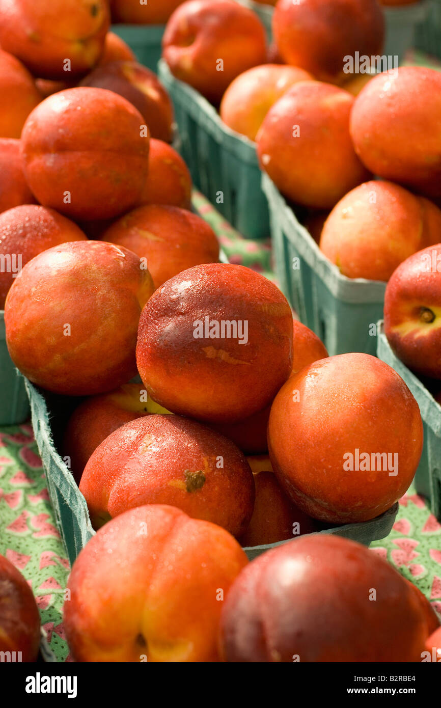 Peaches at the Collingswood farmer s market in New Jersey USA Stock Photo