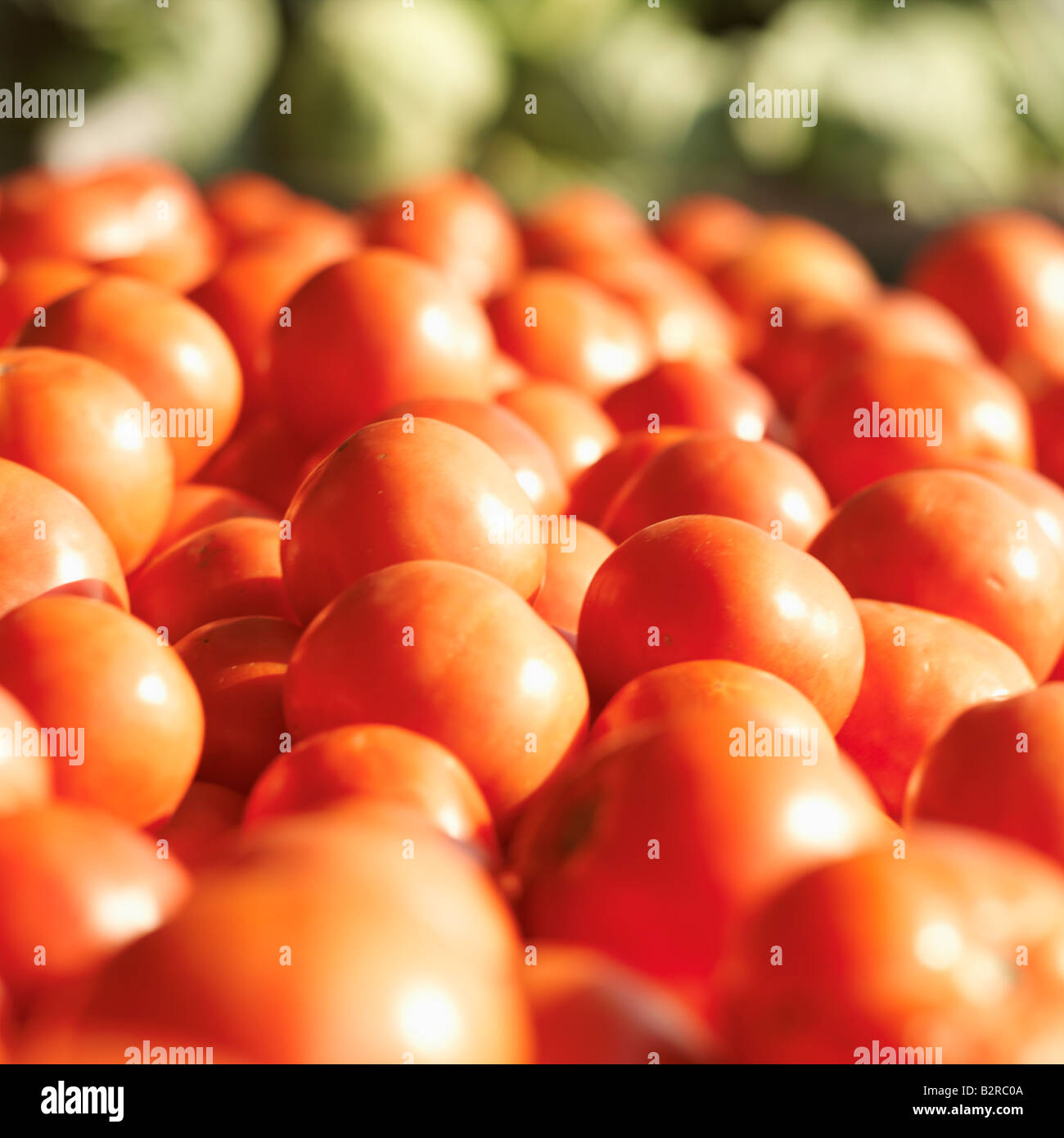 Tailgate favorite hires stock photography and images Alamy
