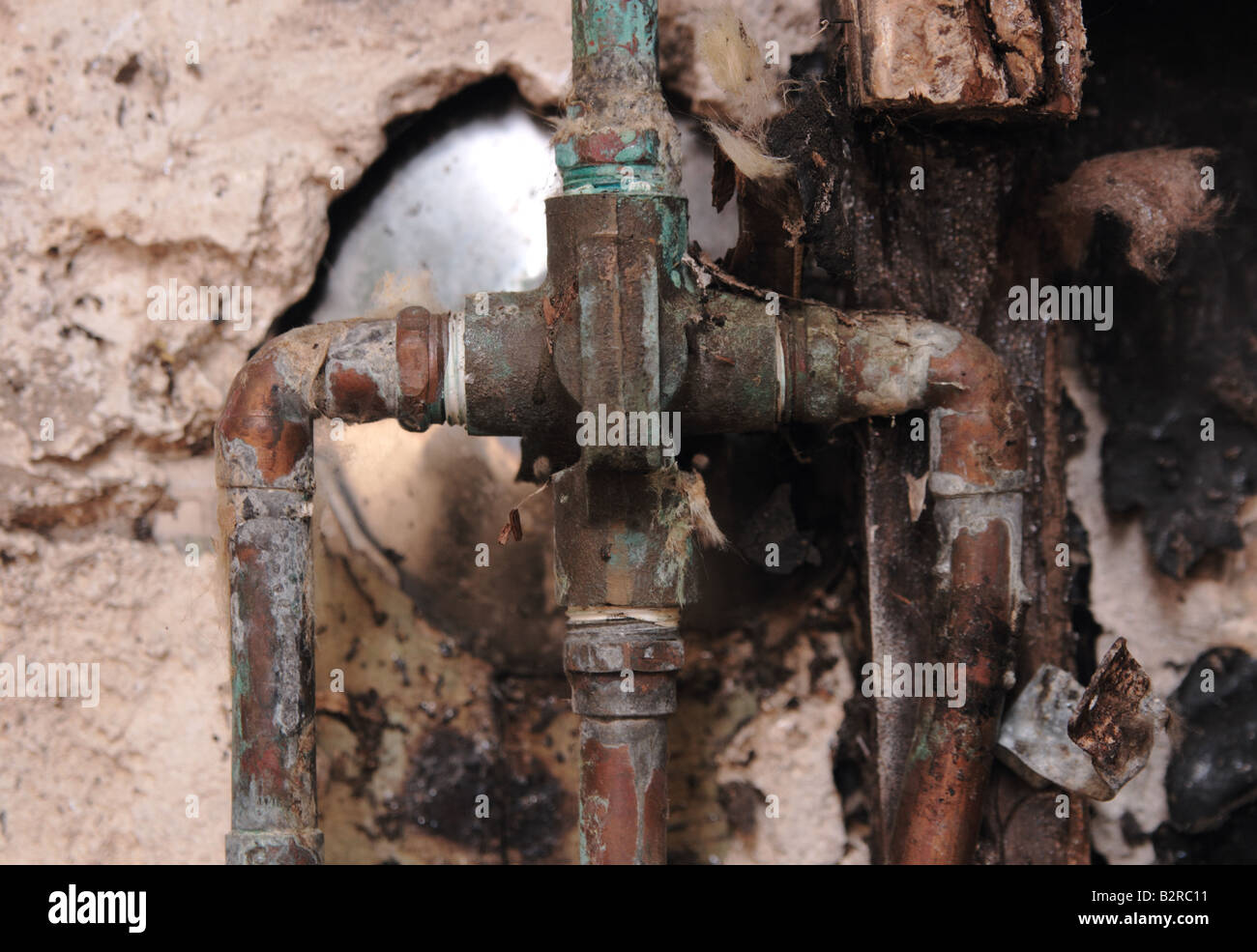 dry rot around the plumbing after a bathroom wall is removed Stock