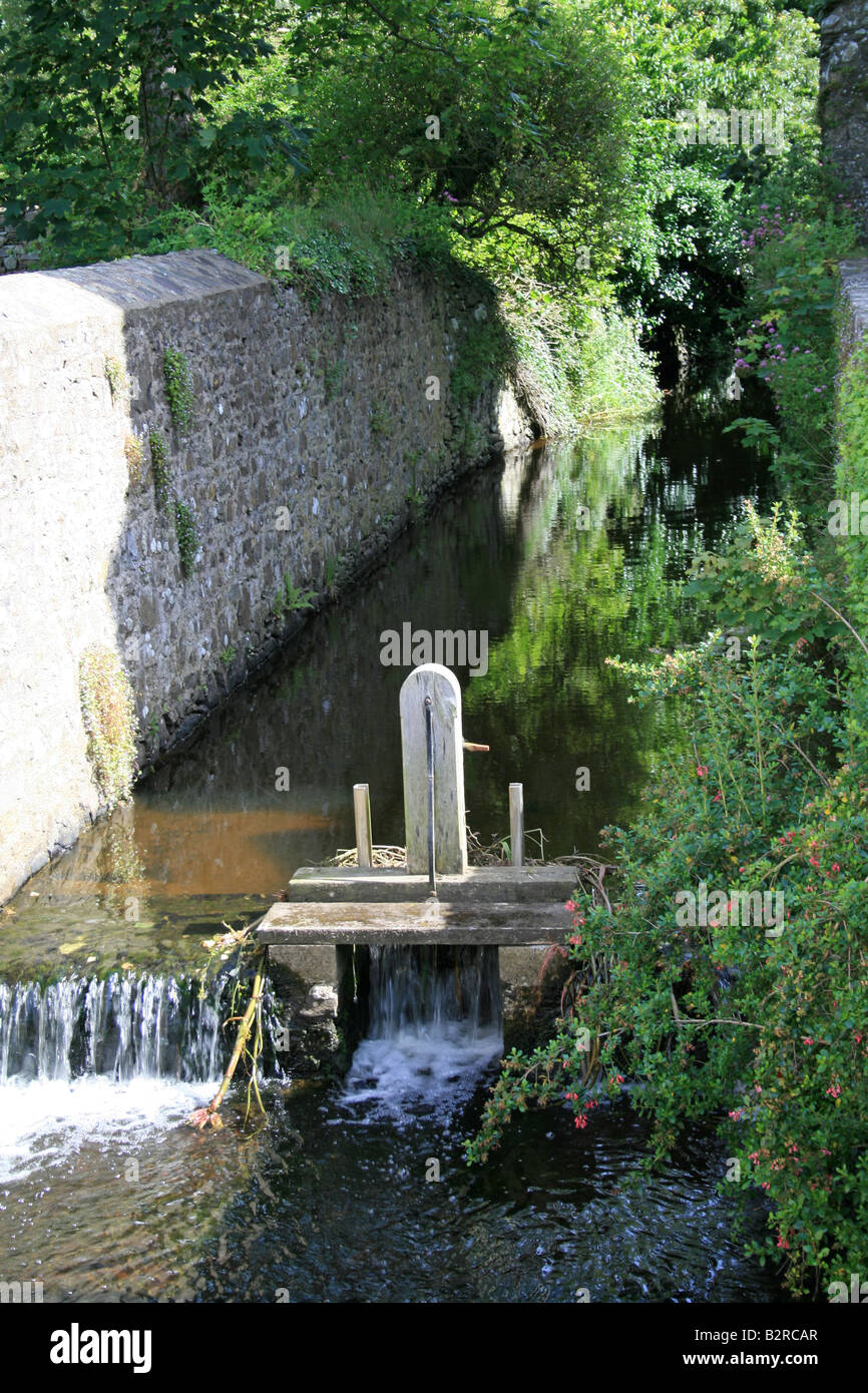 Stream at St Davids Cathedral Stock Photo