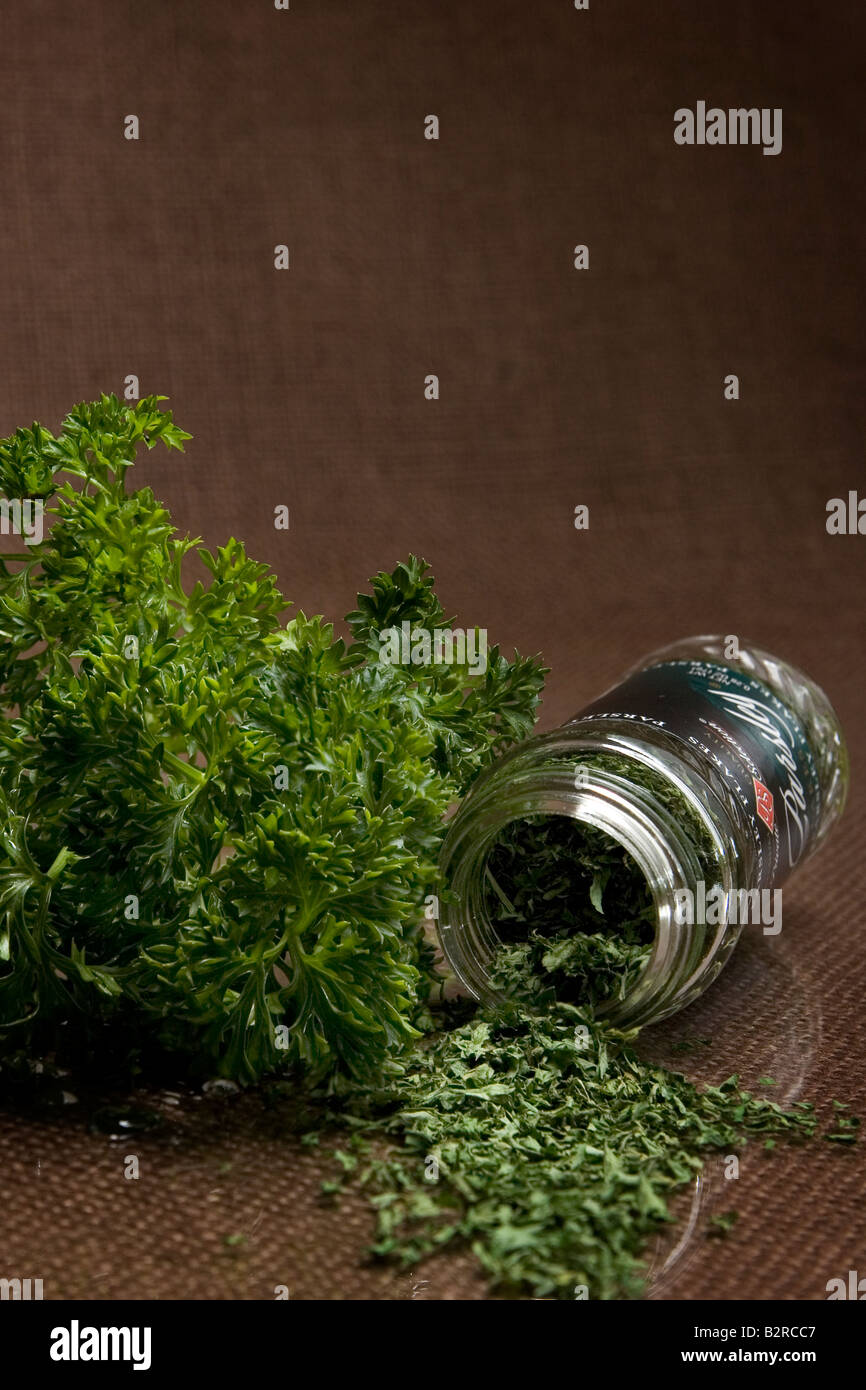 Parsley Organic Seasoning Spice - HYZ01 Perfect As Garnish Petroselinum Crispum Parseley Parsely Parlsey Parslehy Parsey Paraley Persley
