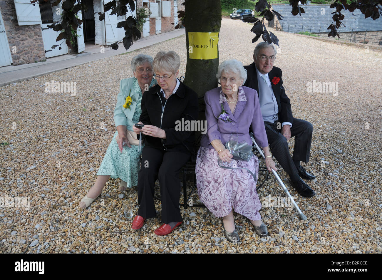 Wedding guests take hi-res stock photography and images - Alamy